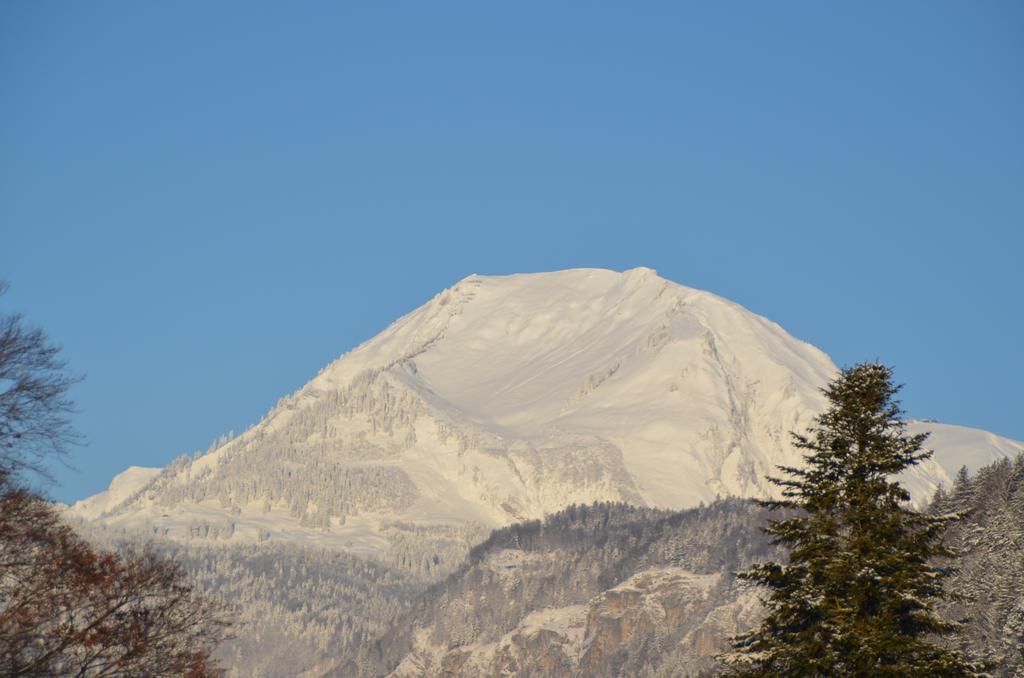Apartamento Mountain-Panorama Meiringen Exterior foto